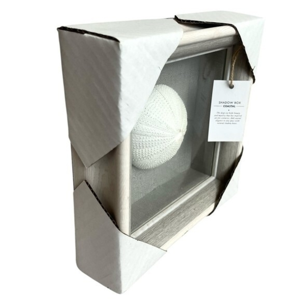 NEW Coastal Shadow Box 9" Sea Urchin Shell Wall Art Beach Nautical Decor White - Picture 4 of 6